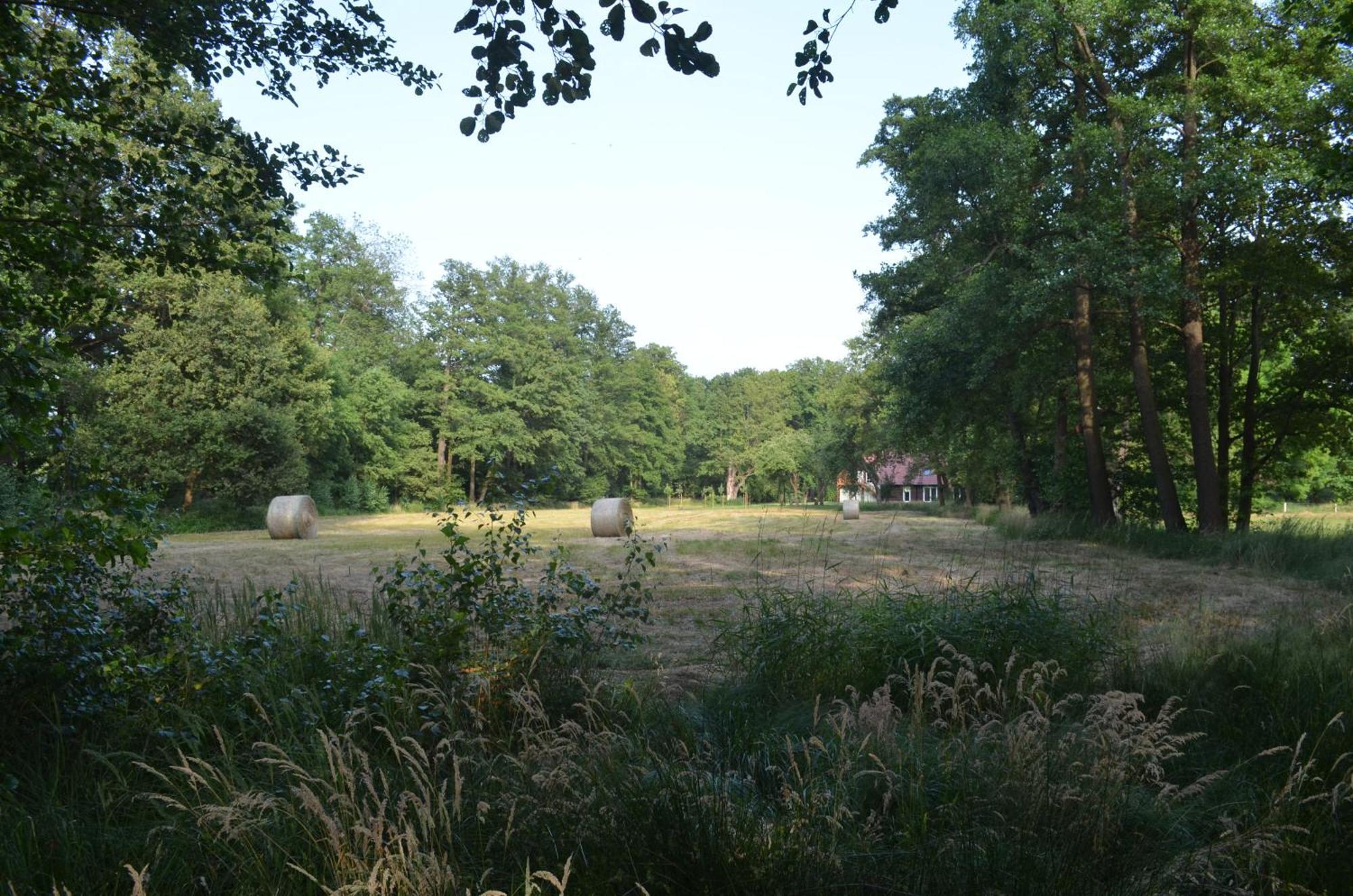 Vierseitenhof * Burg (Spreewald)